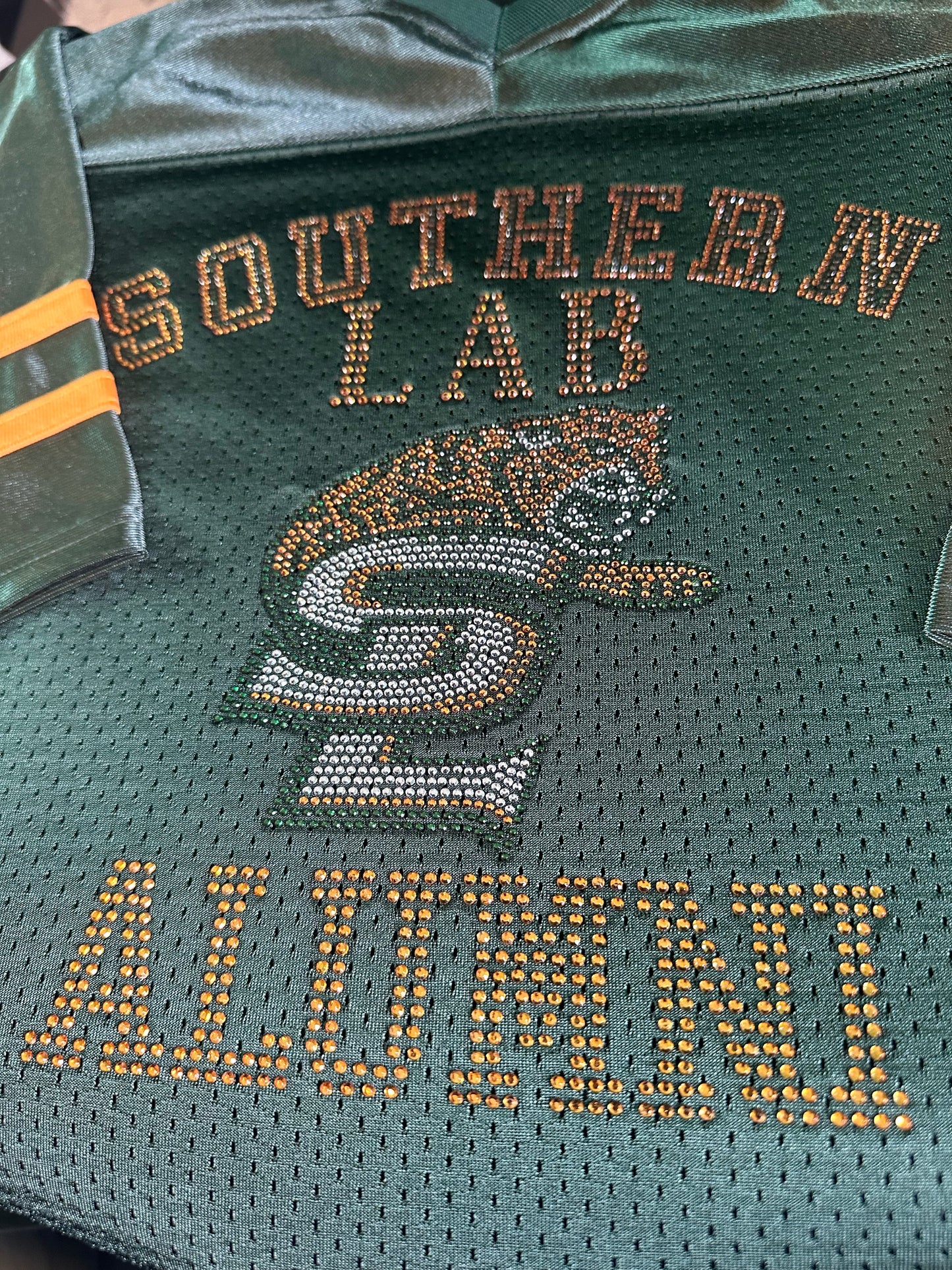 Southern Lab Alumni Mesh Jersey